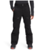 The North Face Men's Chakal Pant