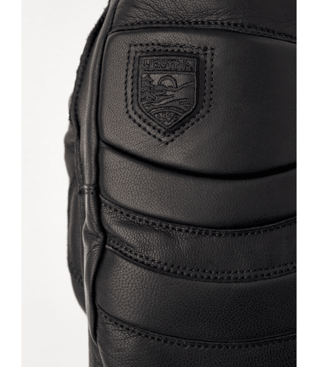 Hestra Fall Line Mitt