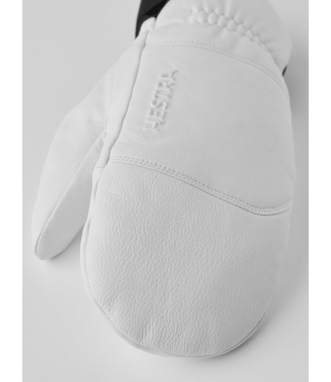Hestra Omni Mitt