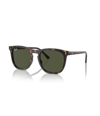 Ray Ban 0RB2210