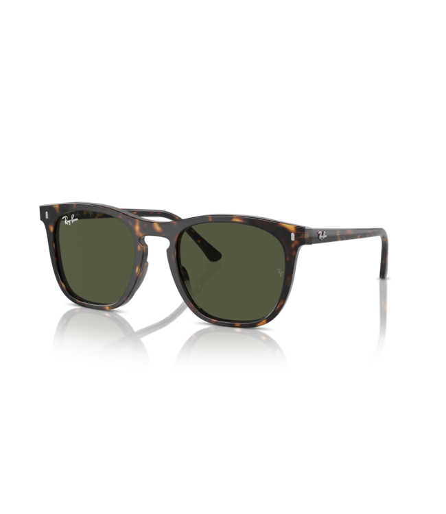 Ray Ban 0RB2210