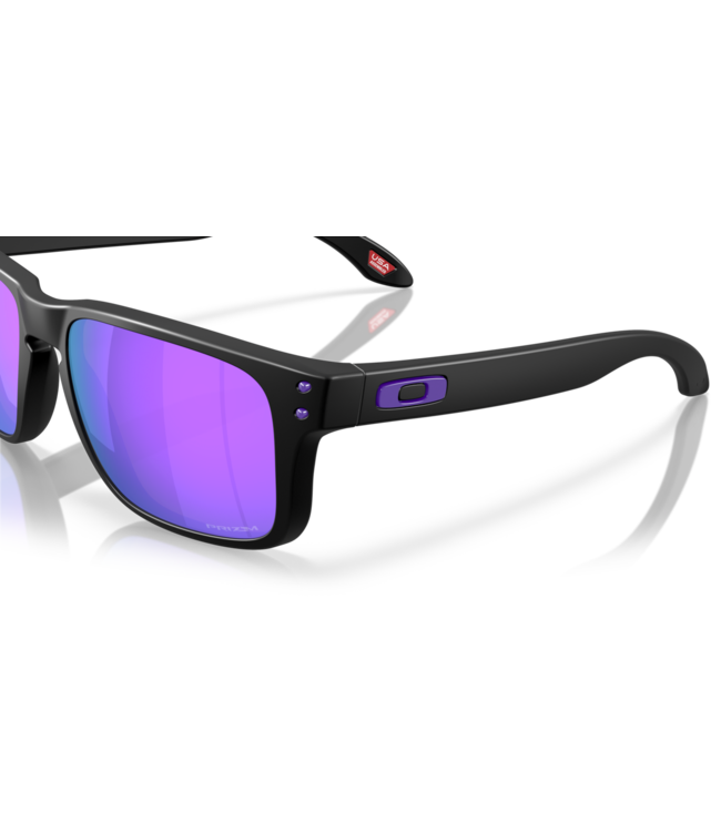 Oakley HOLBROOK S