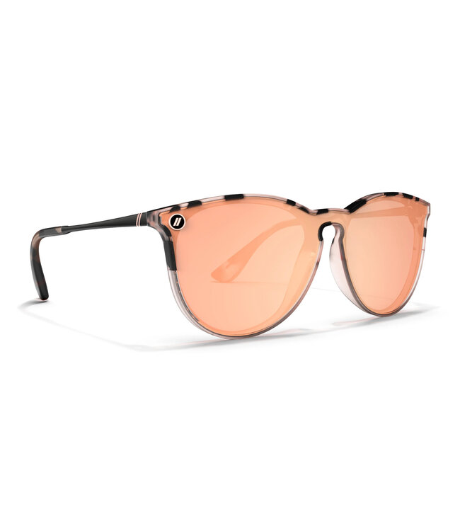 Blenders North Park X2