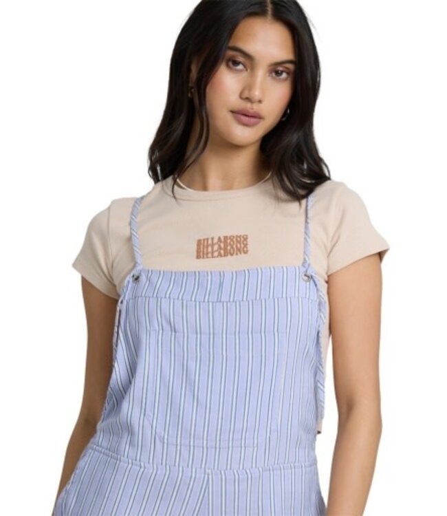 Billabong Wild Pursuit Yarn-Dyed Overalls