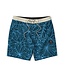 Vissla Naturals 18.5" Boardshort