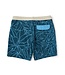 Vissla Naturals 18.5" Boardshort