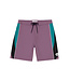 Critical Slide Warp 20" Boardshort