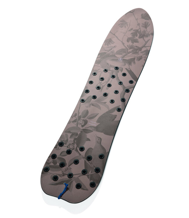 Burton Family Tree Backseat Driver Pow Surfing Board