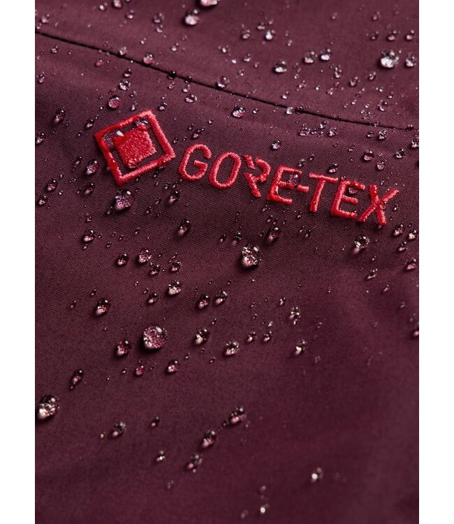 Burton Women's [ak] Cyclic GORE-TEX 2L Bib Pants