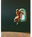 SS Goodtimes Inflatable