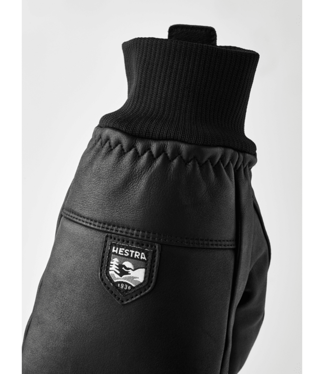 Hestra Omni Mitt