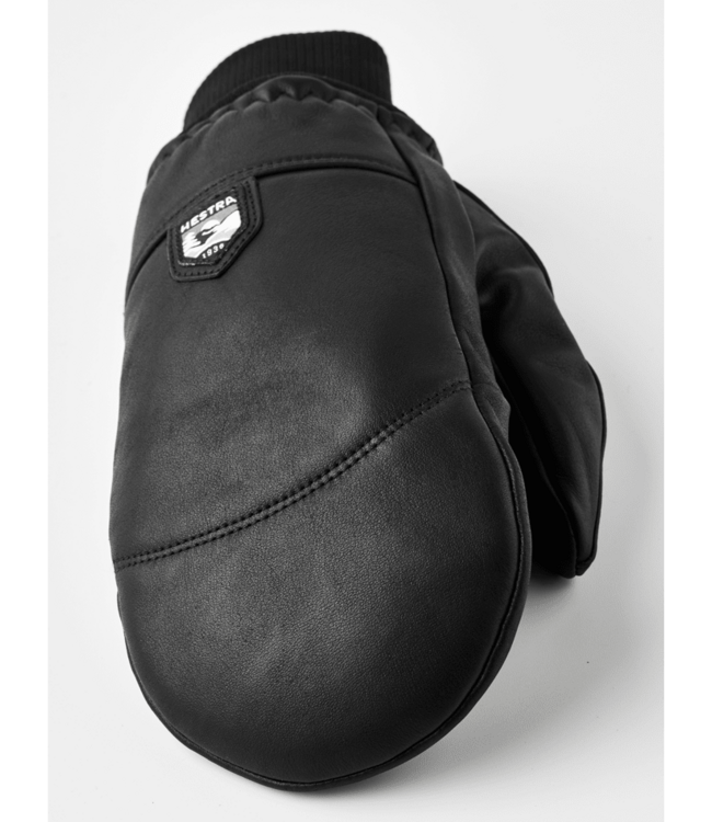 Hestra Omni Mitt