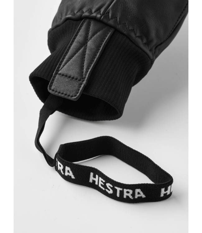 Hestra Omni Mitt