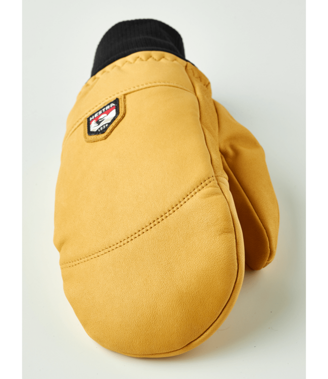 Hestra Omni Mitt