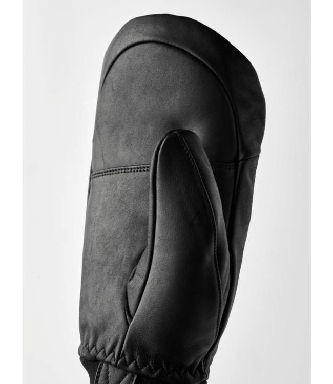 Hestra Omni Mitt