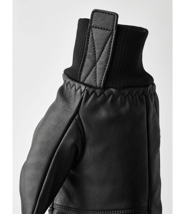Hestra Omni Mitt