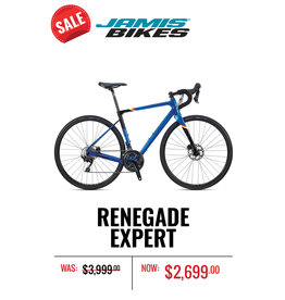 jamis renegade expert 2019