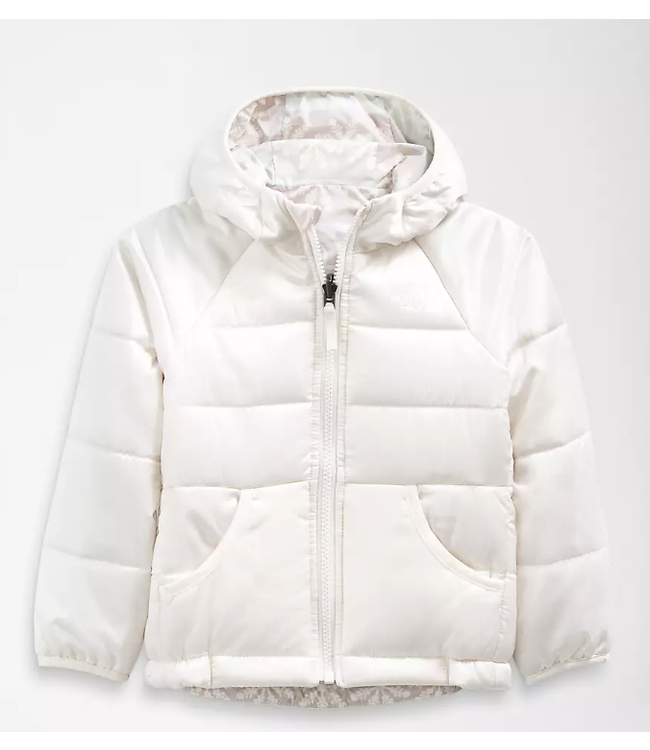 metallic north face jacket