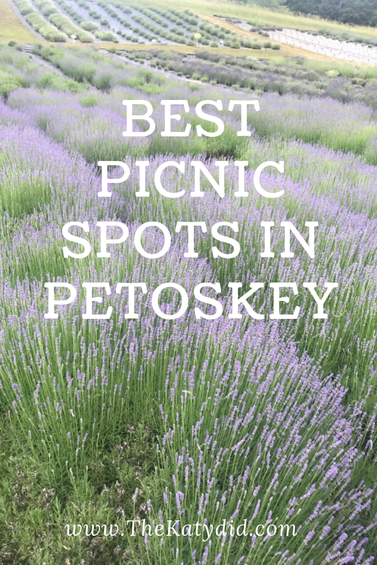Best Picnic Spots in Petoskey