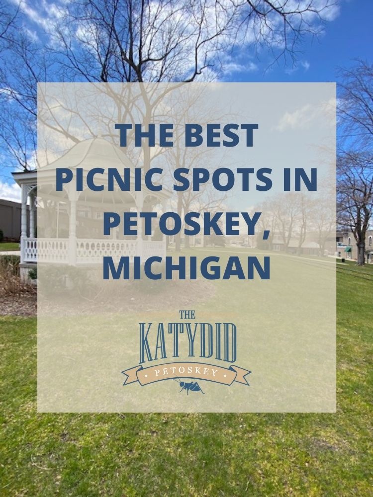 The Best Picnic Spots in Petoskey