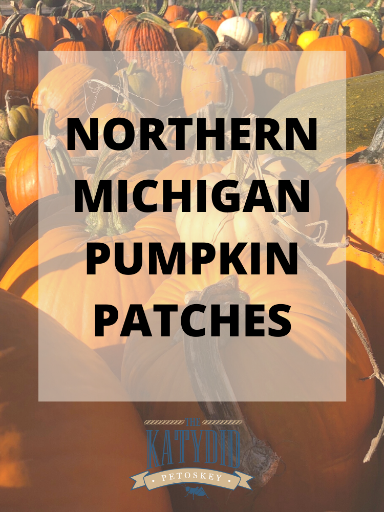 Northern Michigan Pumpkin Patches