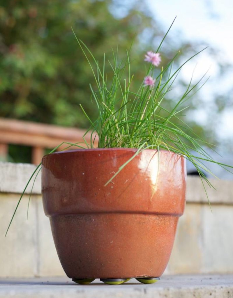 POT PAD 4PK COCOA Grow