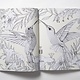 Birdtopia Coloring Book