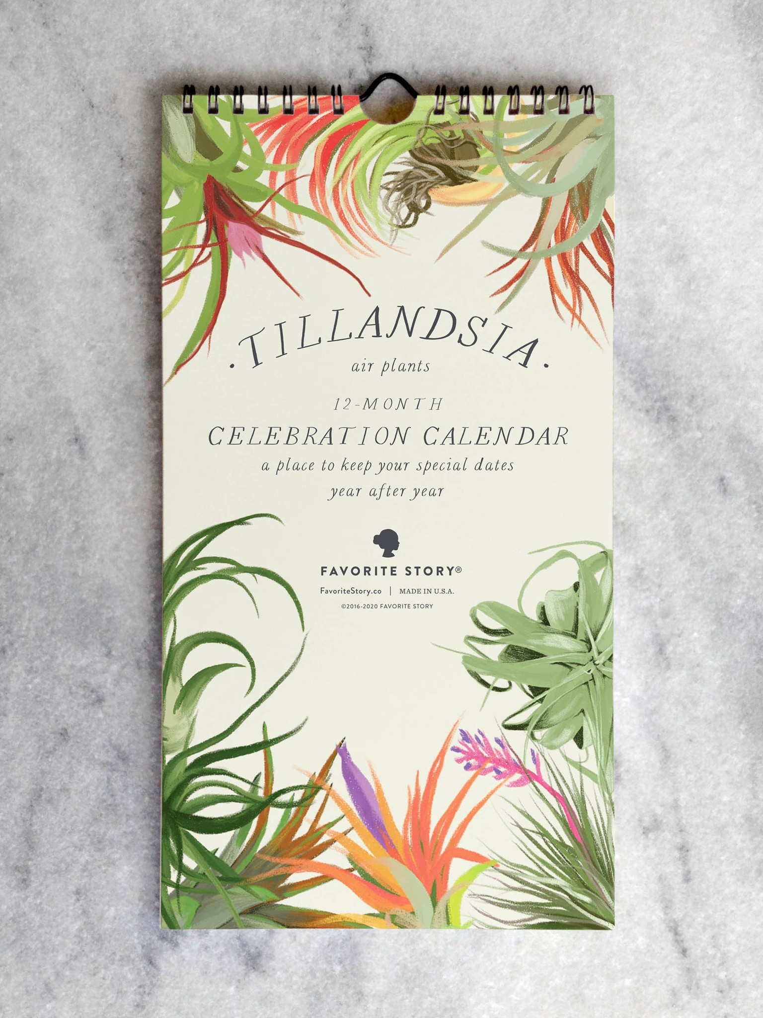 Tillandsia Celebration Calendar | Perpetual Calendar