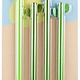 Green Cactus Pencils Set of 4