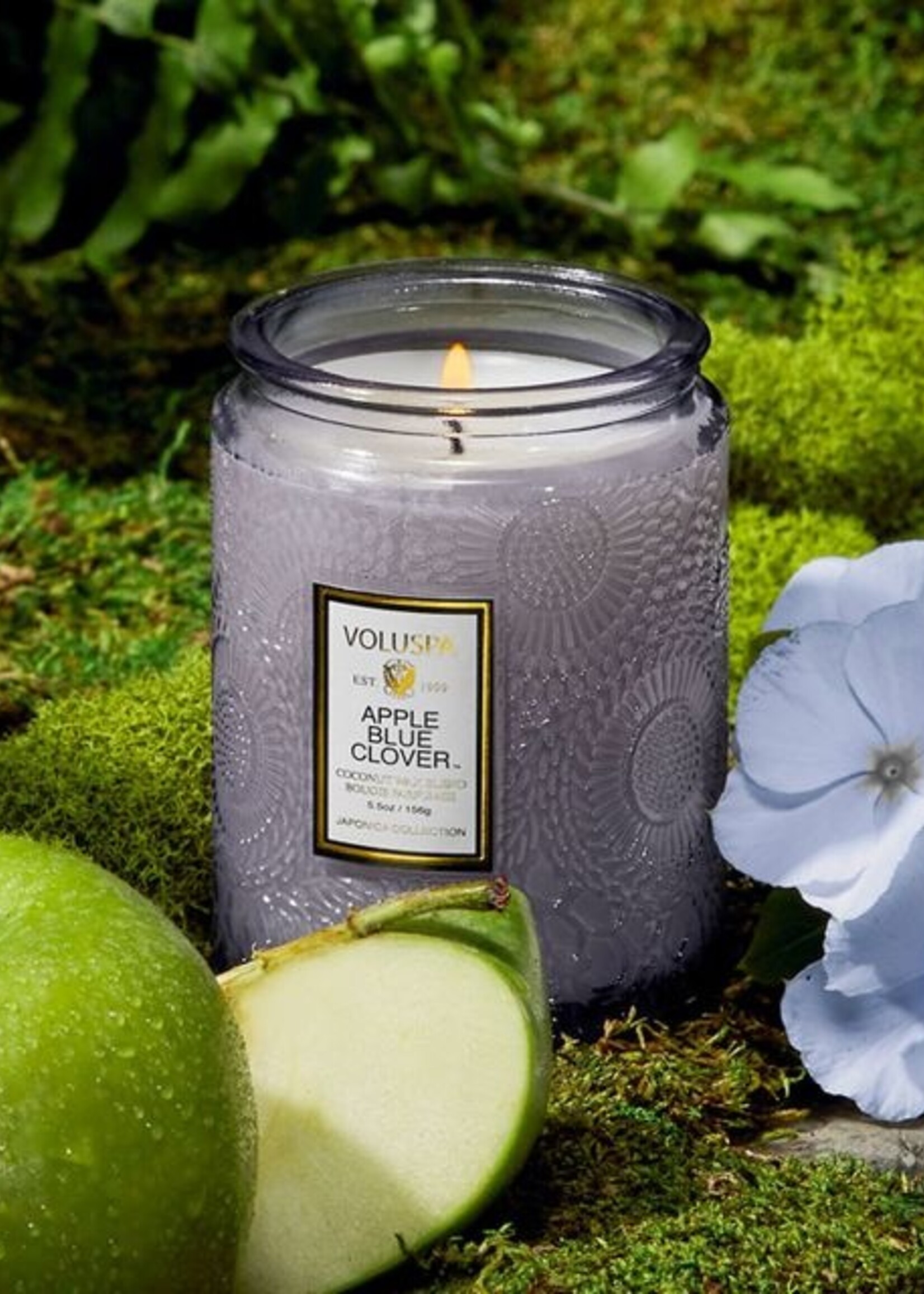 https://cdn.shoplightspeed.com/shops/618827/files/58404779/1652x2313x1/voluspa-candle.jpg