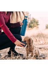 Highwave Dog & Me Bowl Stainless Bottle - Pacific Blue