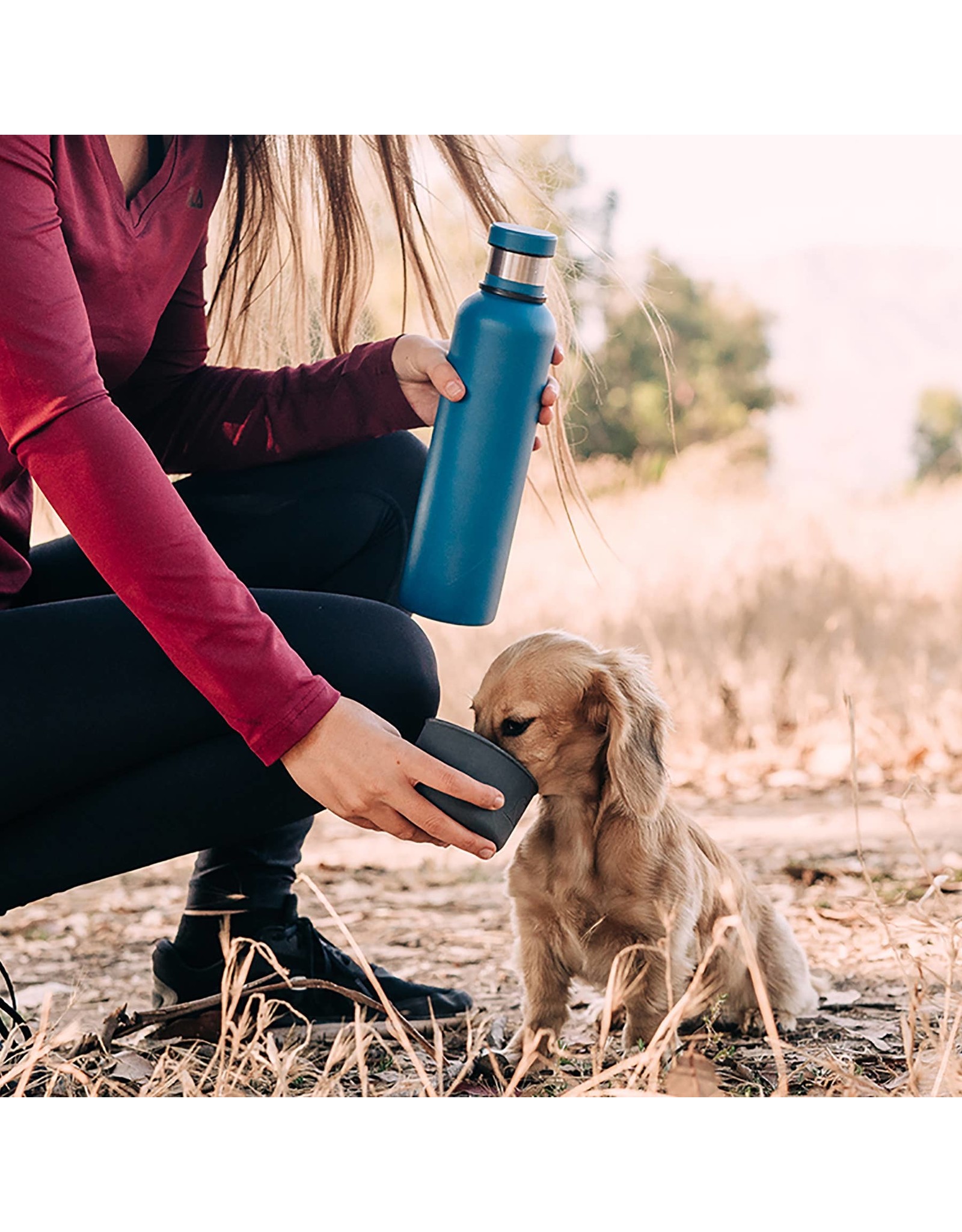 https://cdn.shoplightspeed.com/shops/618832/files/34206964/1600x2048x2/highwave-dog-me-bowl-stainless-bottle-pacific-blue.jpg