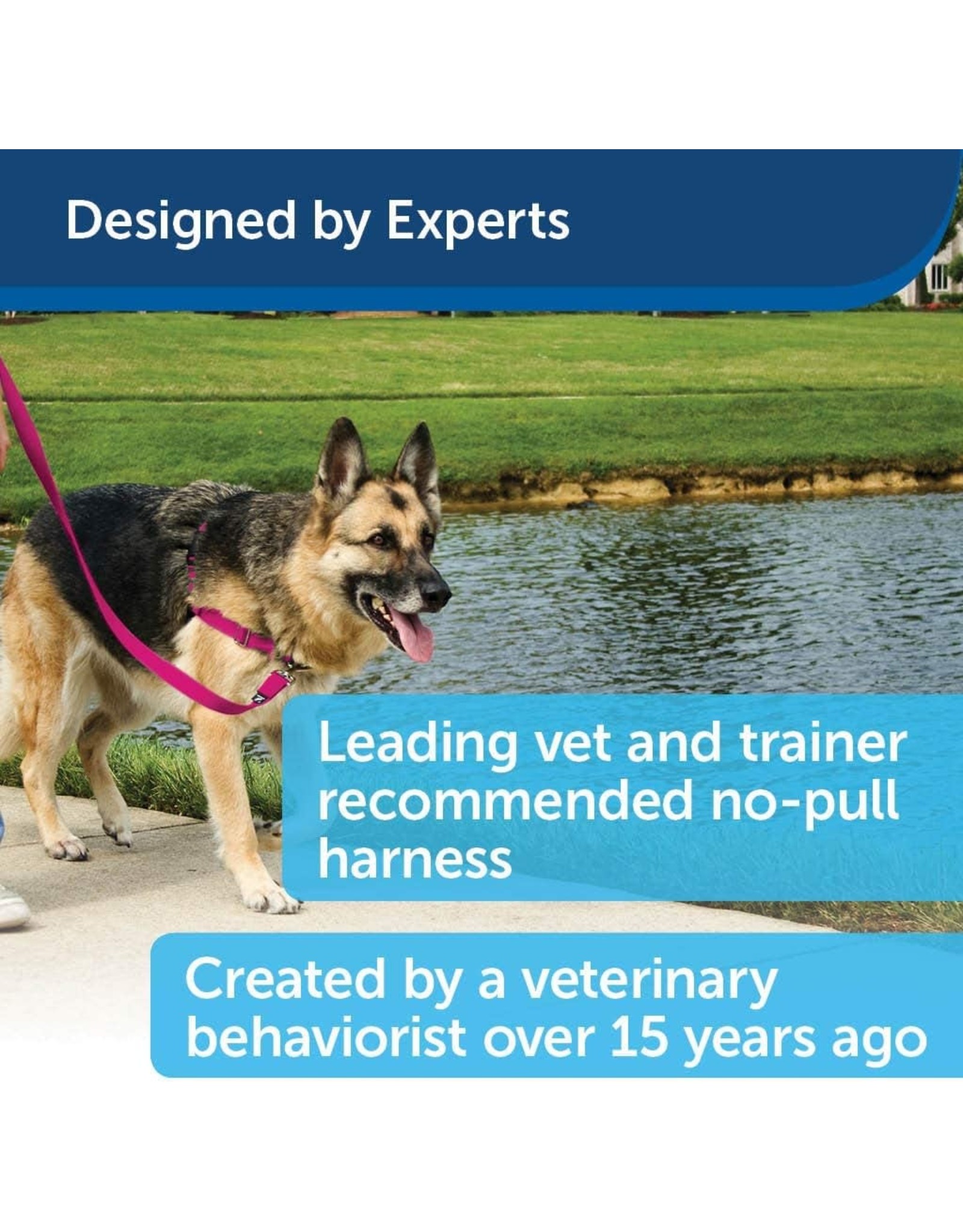 PetSafe PetSafe Easy Walk No Pull Dog Harness X-Large