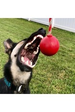 SodaPup USA-K9 Cherry Bomb - Chew Toy - Reward Toy