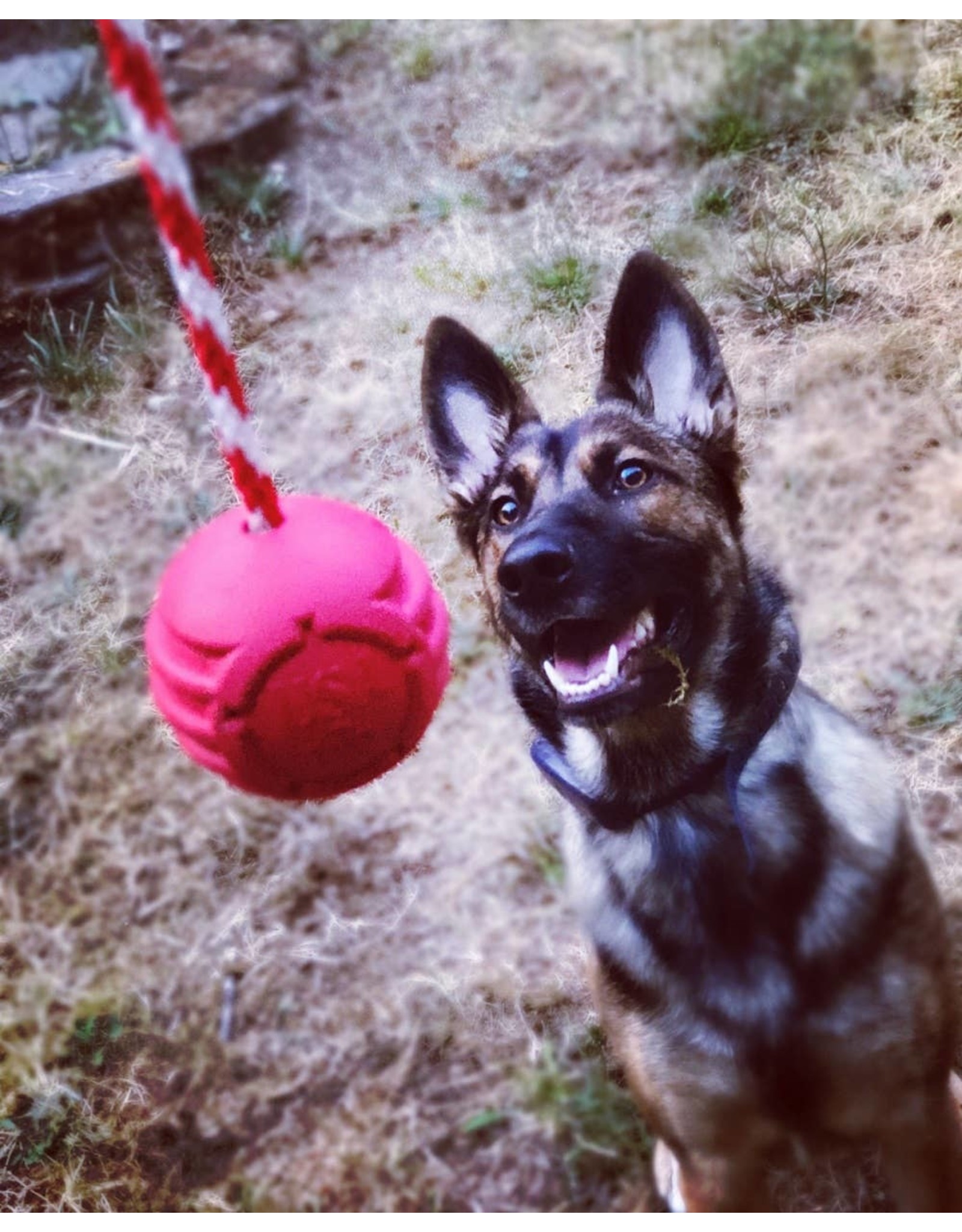 USA-K9 Stars and Stripes Ultra-Durable Rubber Chew Ball - Red