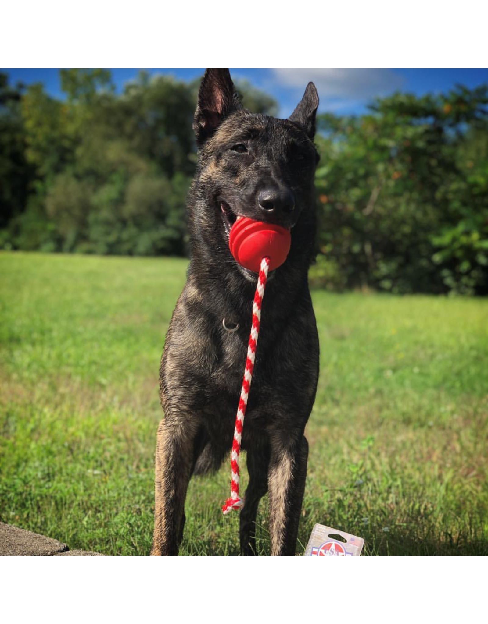 SodaPup USA-K9 Stars and Stripes- Durable Reward Toy - Large - Red