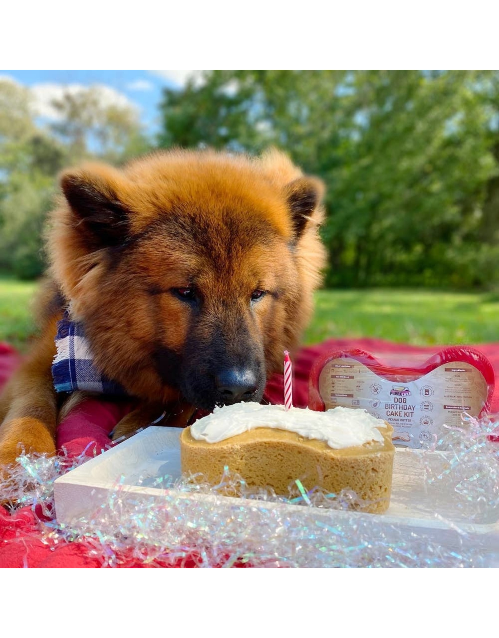 Dog Peanut Butter Birthday Cake Kit