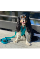 Sassy Woof 'Napa' Adjustable Dog Harness