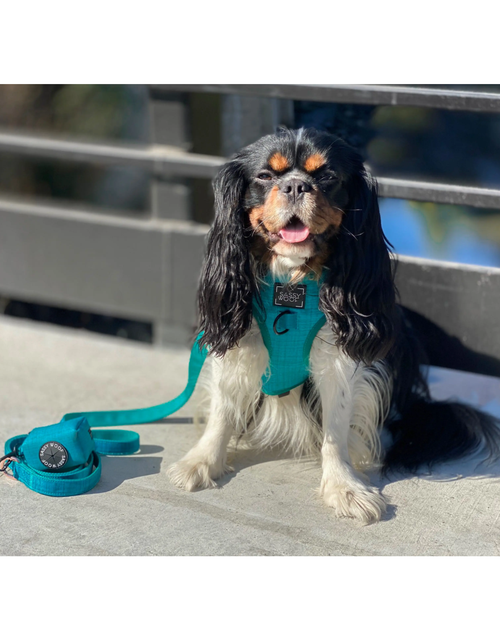 Sassy Woof 'Napa' Adjustable Dog Harness