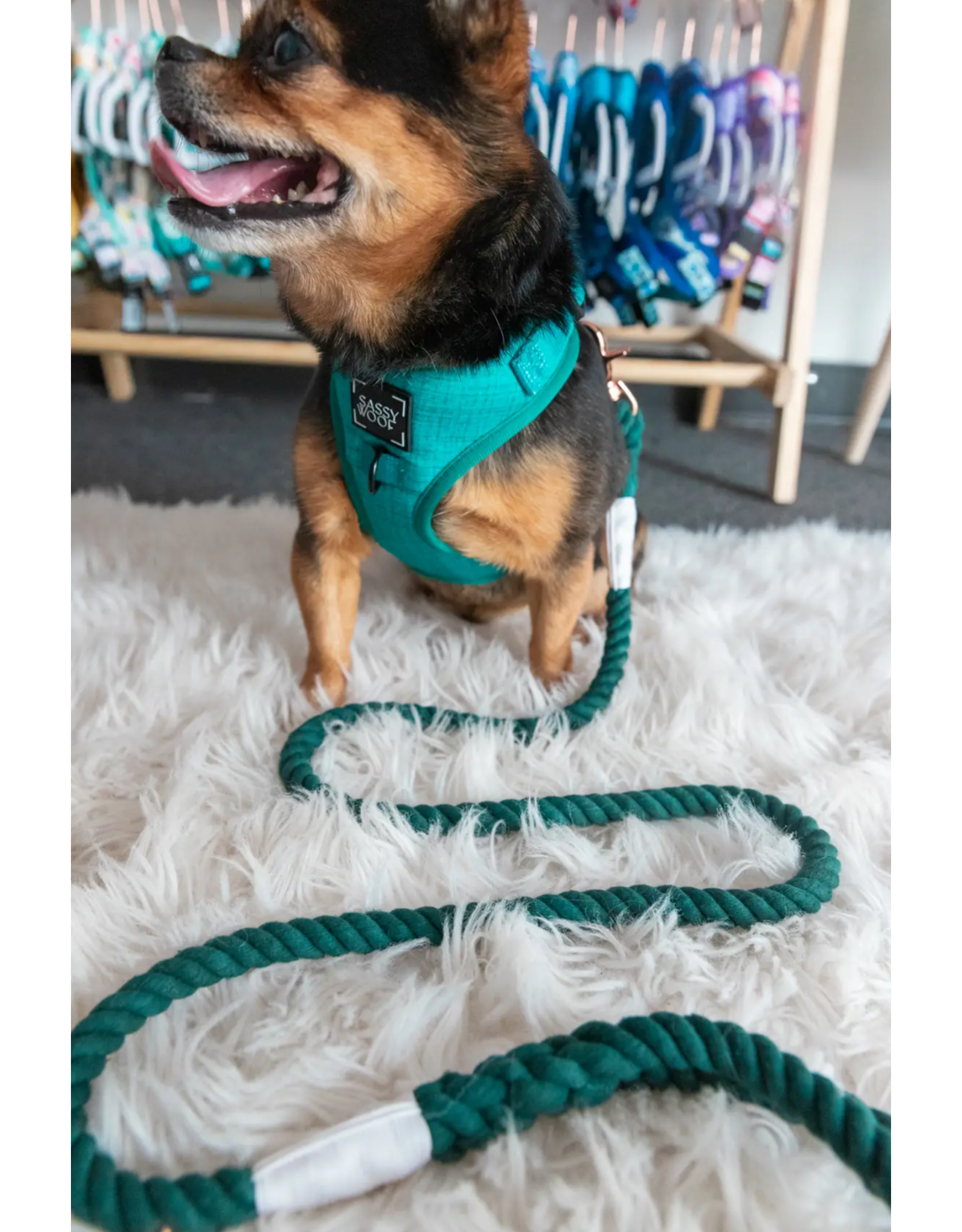 Sassy Woof 'Napa' Adjustable Dog Harness