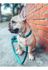 Sassy Woof 'Napa' Dog Fabric Leash
