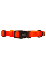 Sassy Woof 'Neon Orange' Dog Collar