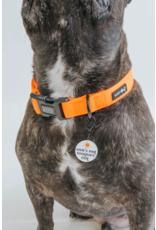 Sassy Woof 'Neon Orange' Dog Collar