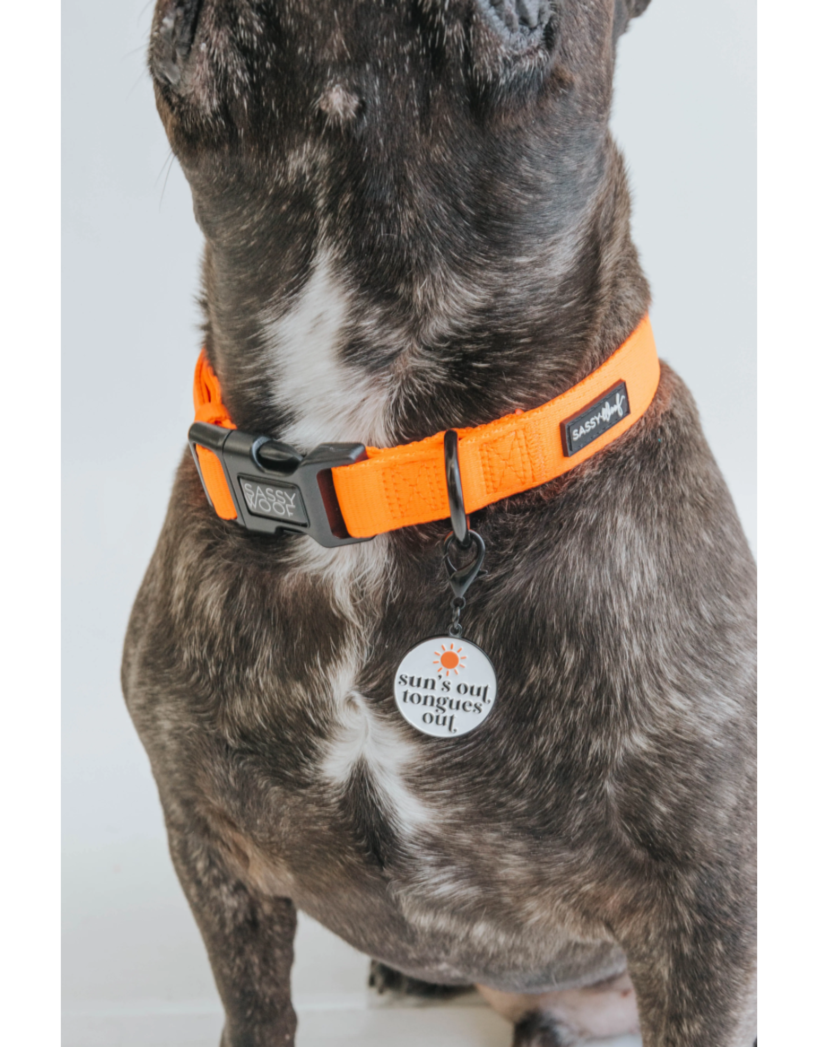 Sassy Woof 'Neon Orange' Dog Collar