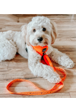 Sassy Woof 'Neon Orange' Dog Fabric Leash