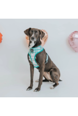 Sassy Woof 'Wag Your Teal' Reversible Dog Harness