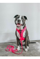 Sassy Woof 'Neon Pink' Dog Fabric Leash