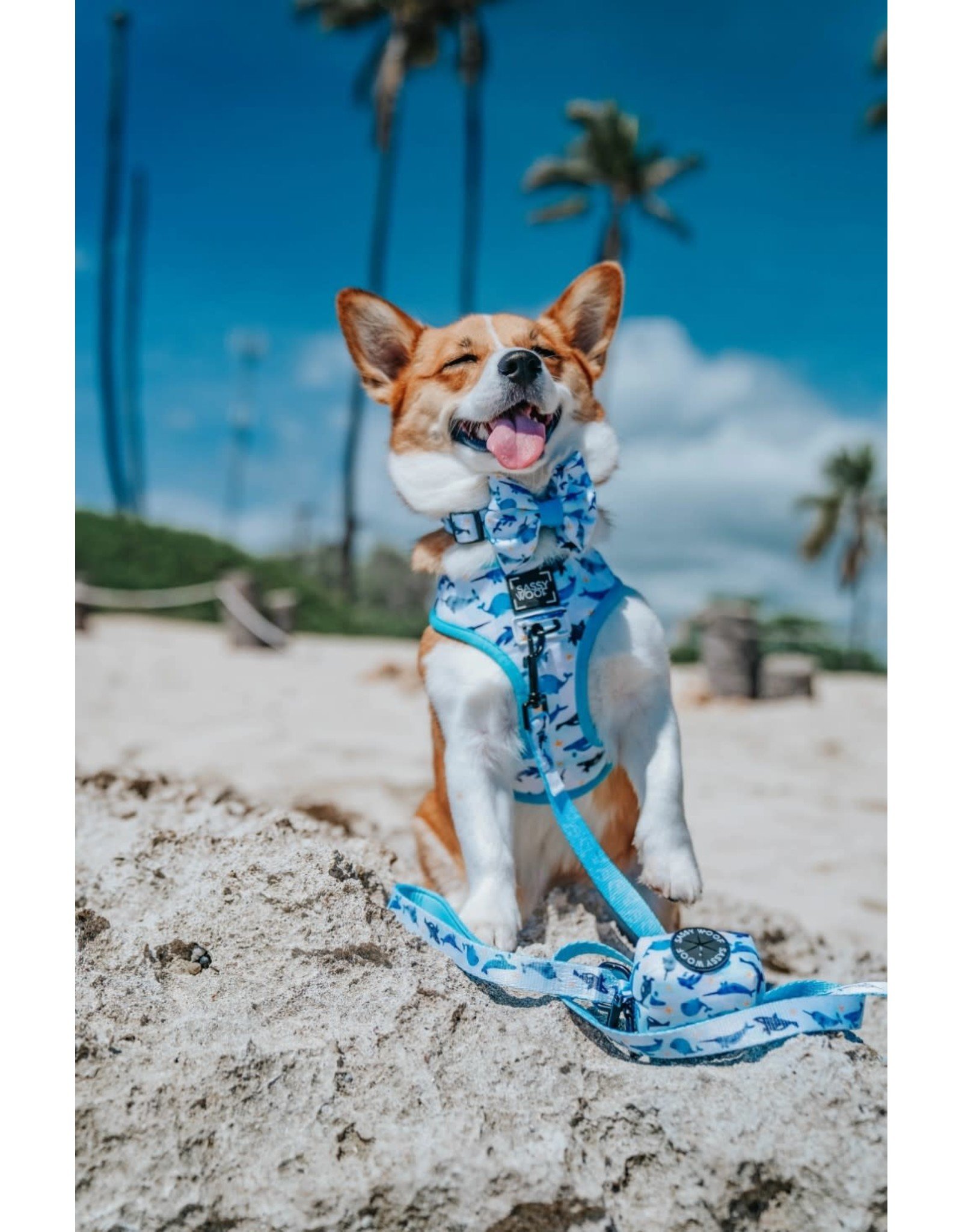 Sassy Woof 'Whale, Hello There' Dog Collar