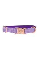 Sassy Woof 'Aurora' Dog Collar