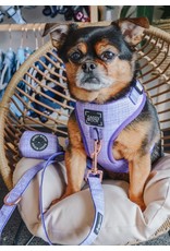 Sassy Woof 'Aurora' Dog Fabric Leash